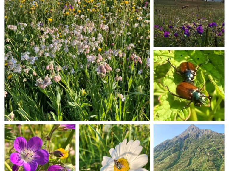 Kapitelsitzung der Guilde Internationales des Fromagers in Galtür 2023