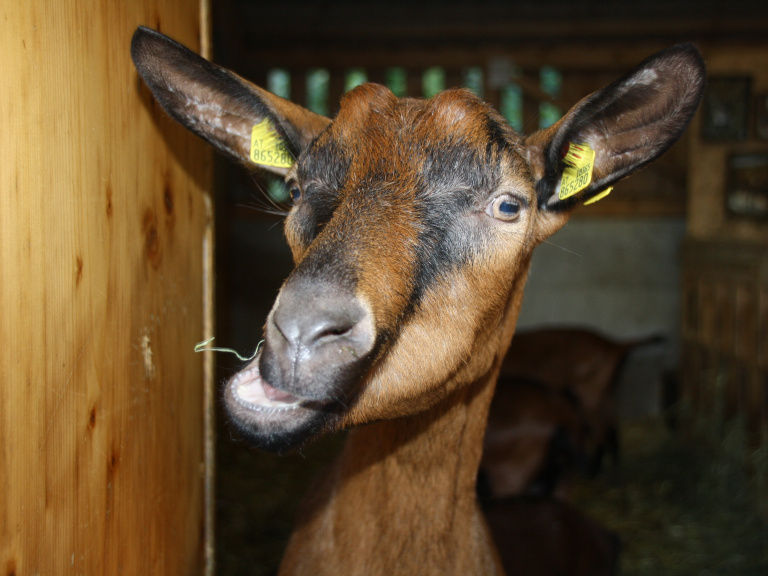 Bildungsreise Österreich