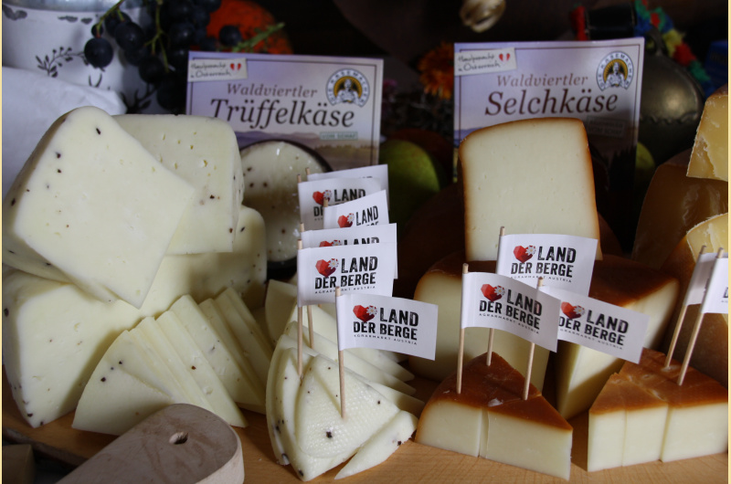 Bildungsreise Österreich